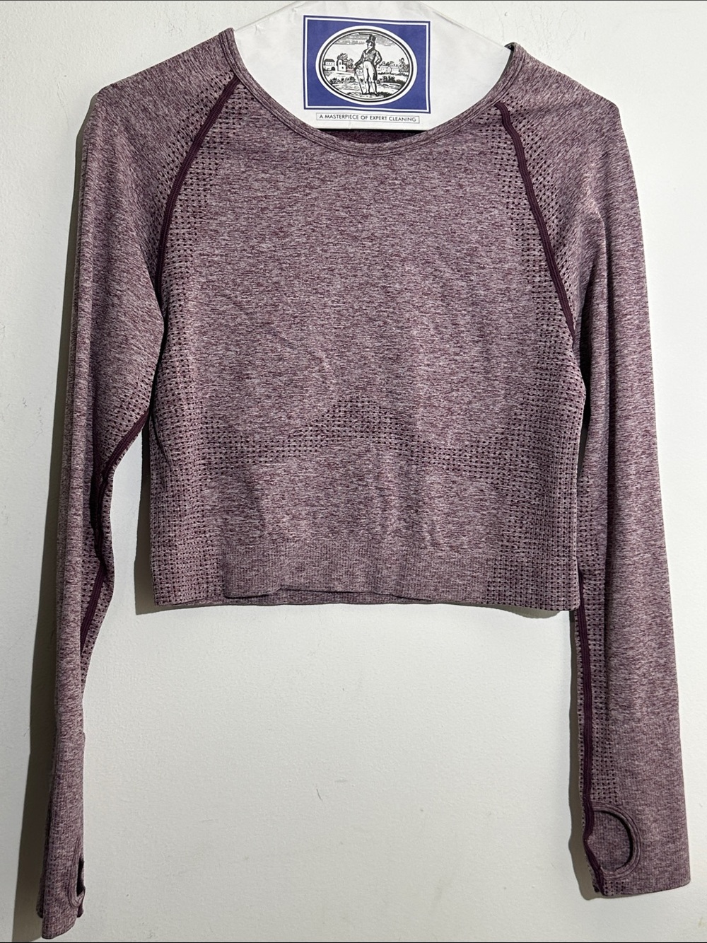 PINK Victoria's Secret Heathered Mauve Long Sleeve Crop Top